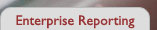 Enterprise Reporting